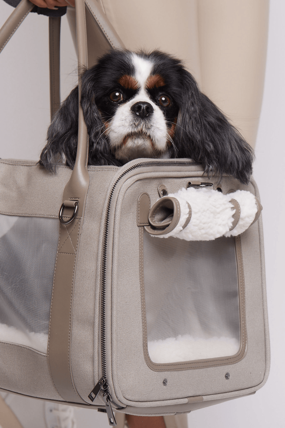 Cozy Pet Carrier Bag Perfect for Travel Global Citizen maxbone