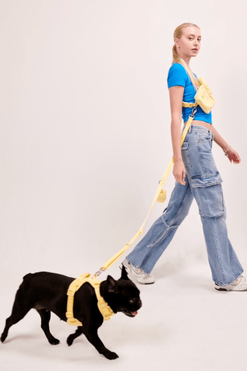 Hands free lead for dogs online