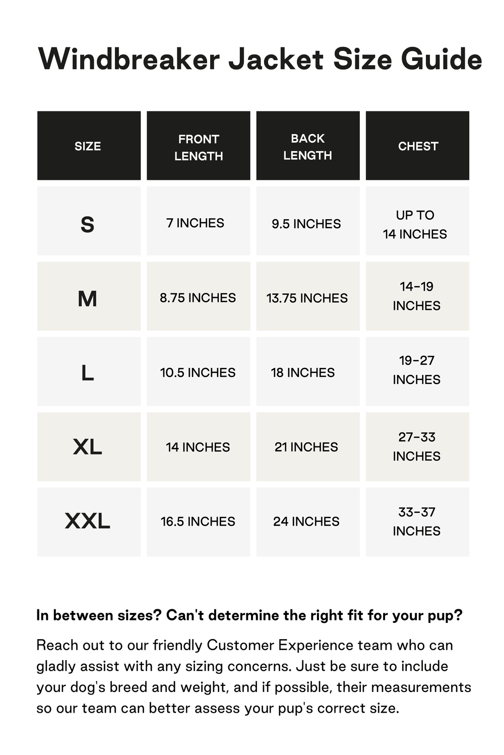 Prince windbreaker 2025