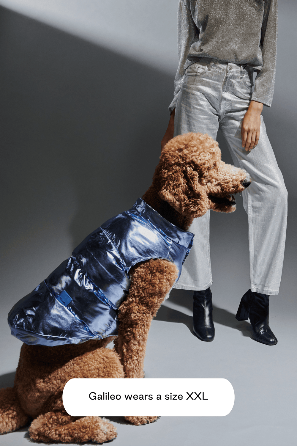 Metallic Arabella Puffer Vest - maxbone