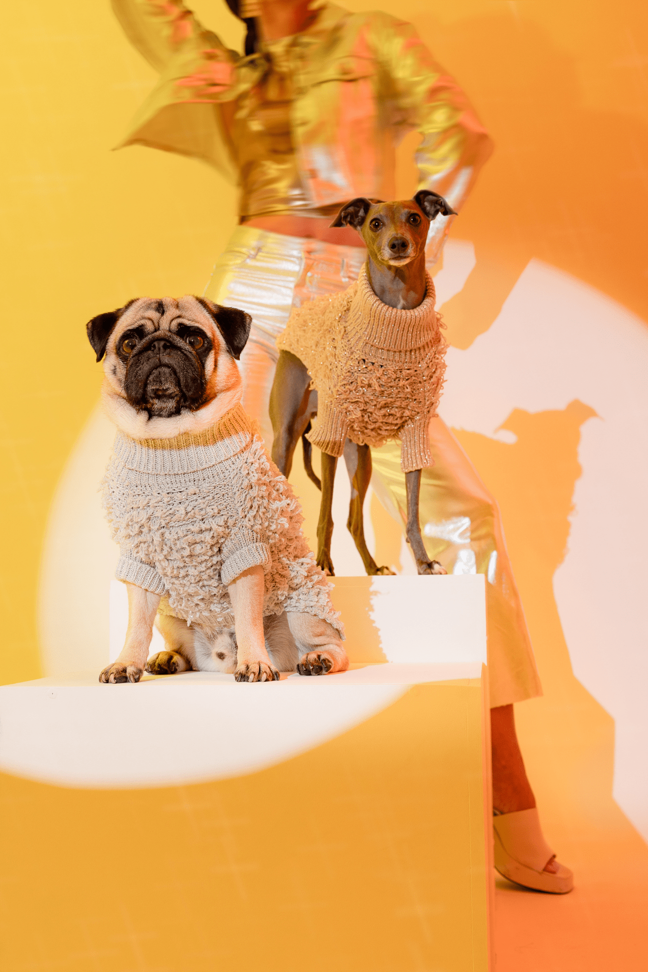 Gold top knit jumper