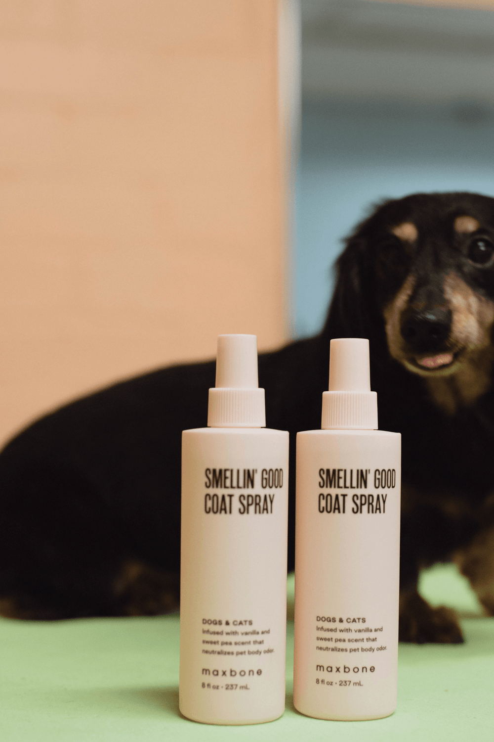 Smellin' Good Coat Spray